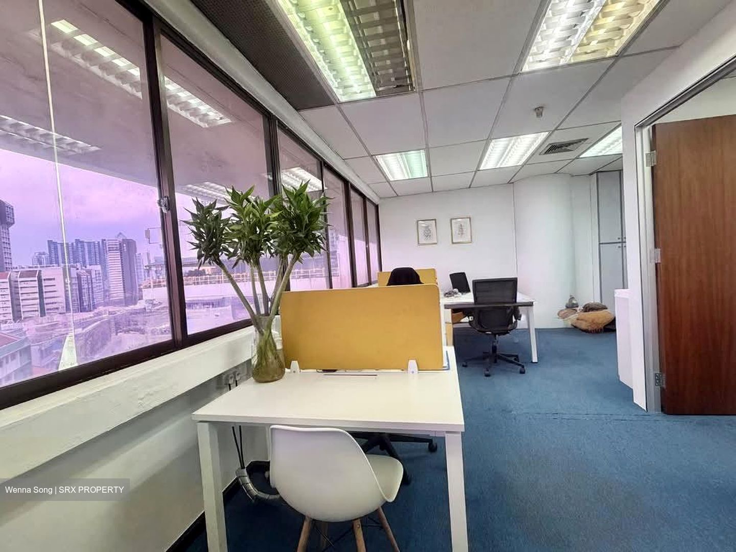 Sim Lim Tower (D8), Office #558496441